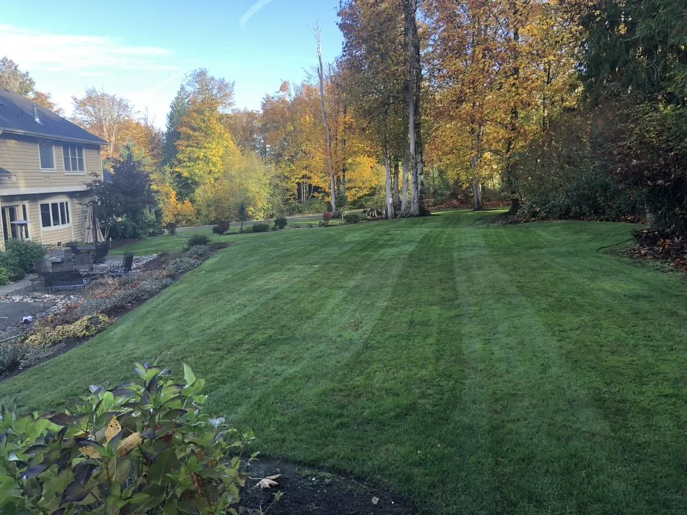 Local lawn care service experts serving Seattle, WA - Green Town Landscaping