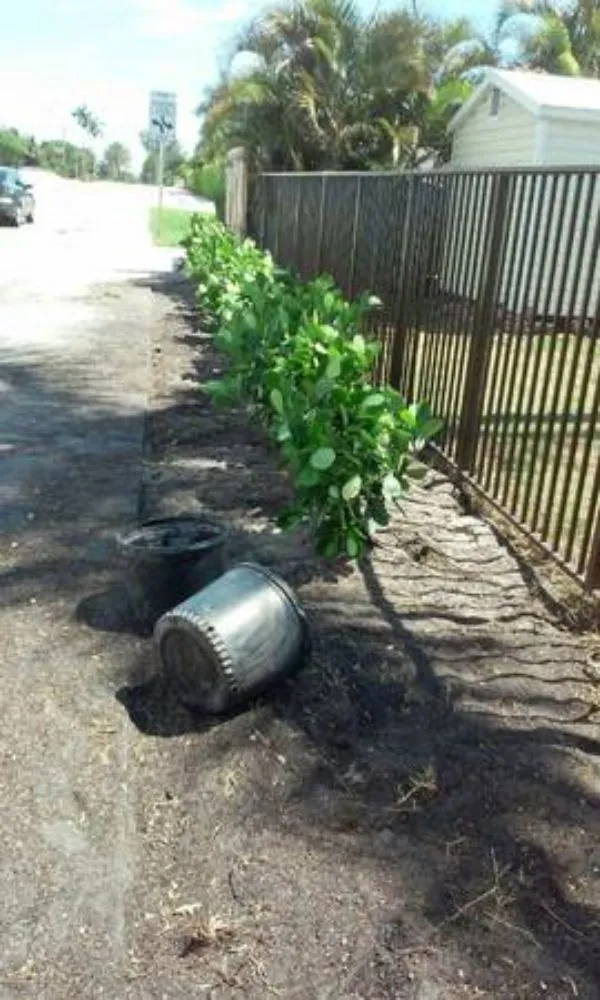 Expert yard cleanup service for year-round maintenance in Fernandina Beach, FL by Green Treasure Outdoor Services