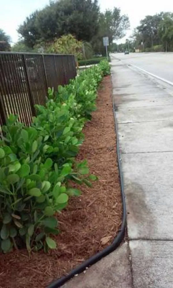 Professional yard cleanup service for beautiful yards in Fernandina Beach, FL by Green Treasure Outdoor Services