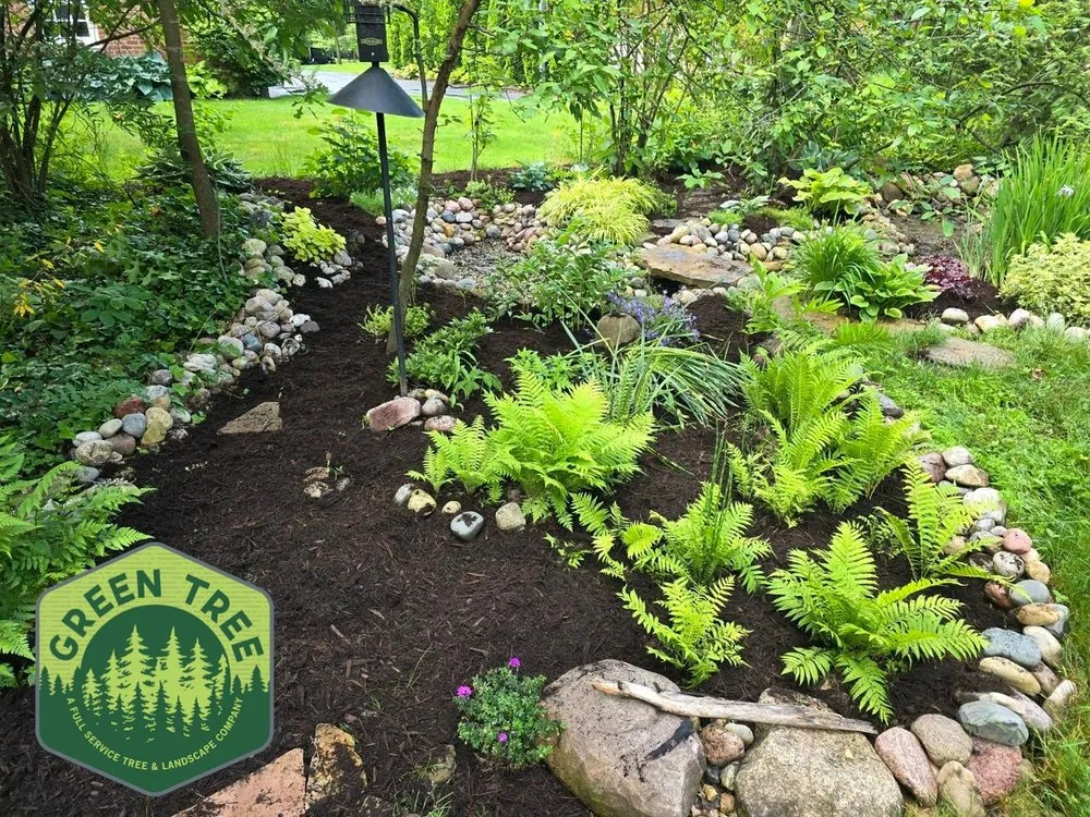 Professional landscape design for beautiful yards across Columbus, OH - Green Tree