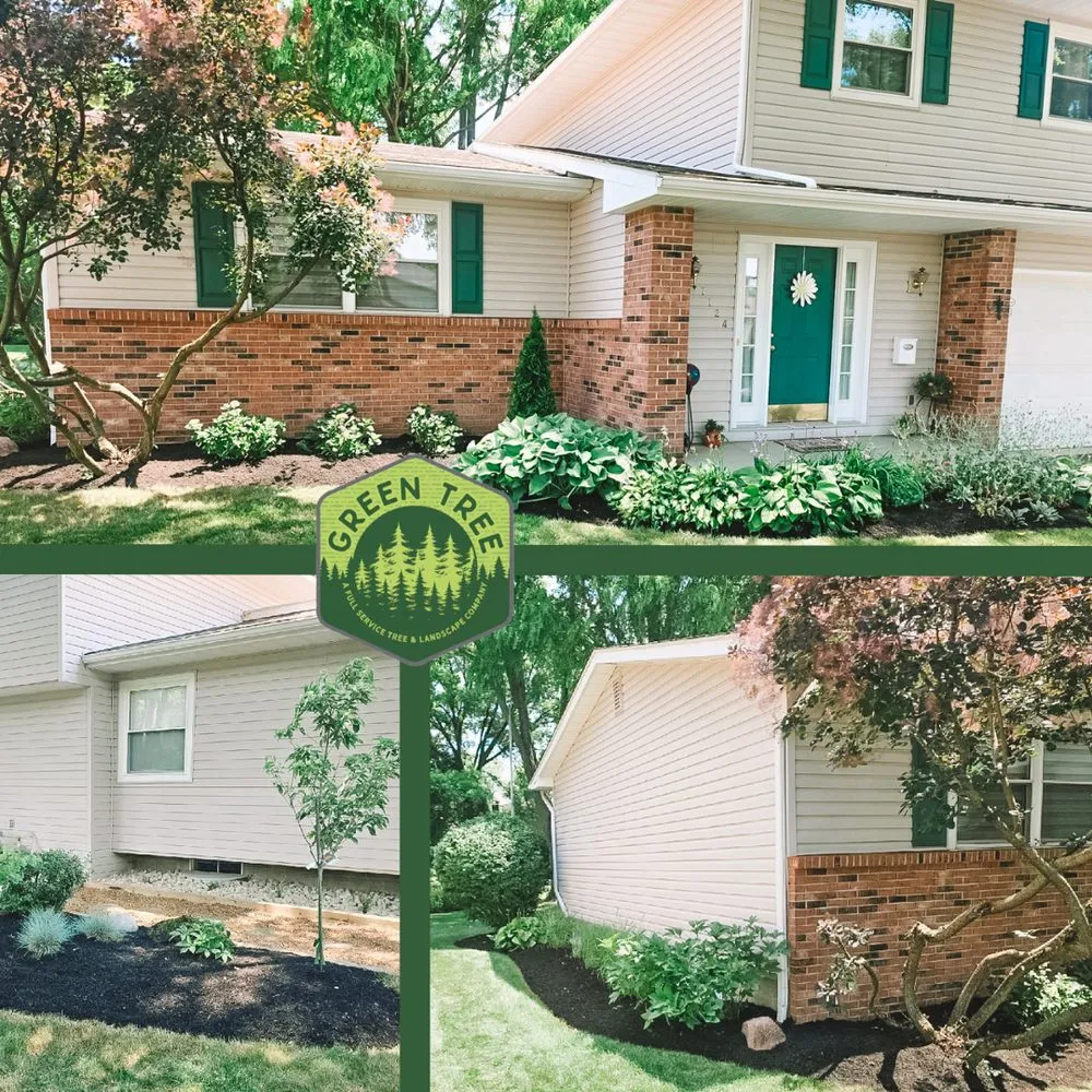 Reliable yard maintenance in Columbus, OH by Green Tree