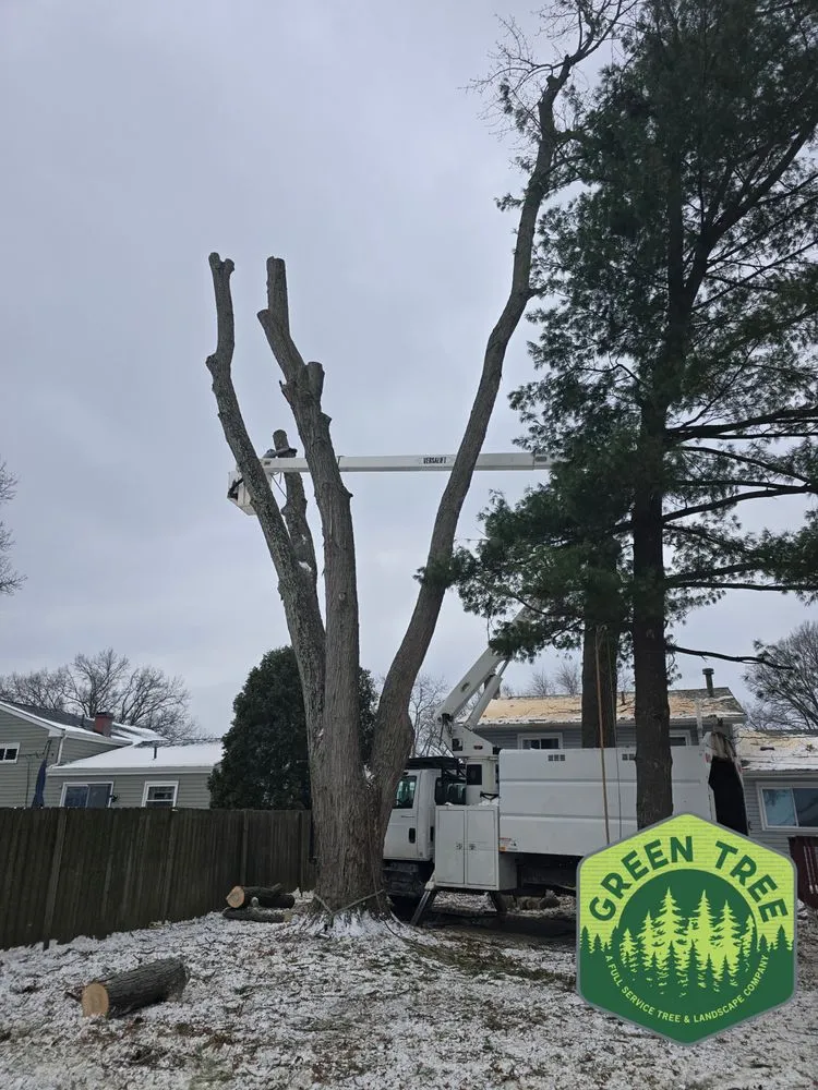 Local yard cleanup service in Columbus, OH - Green Tree