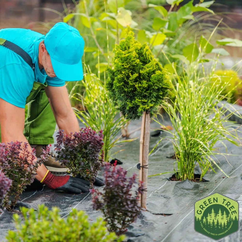 Reliable landscape installation for beautiful yards in Columbus, OH by Green Tree