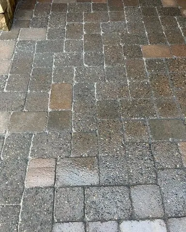 Affordable lawn mowing service in Woodburn, OR by Green Tree Landscape & Maintenance