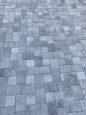 Green Tree Landscape & Maintenance