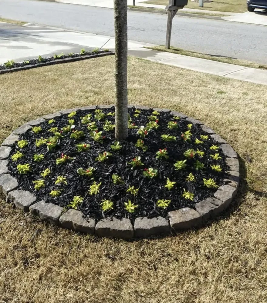 Professional yard cleanup service experts serving Lawrenceville, GA - Green Tree Landscapers