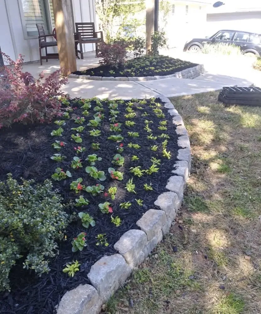 Affordable lawn care service for year-round maintenance in Lawrenceville, GA by Green Tree Landscapers