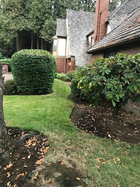 Expert yard cleanup service with custom design across Eugene, OR - Green Tree Landscaping & Maintenance