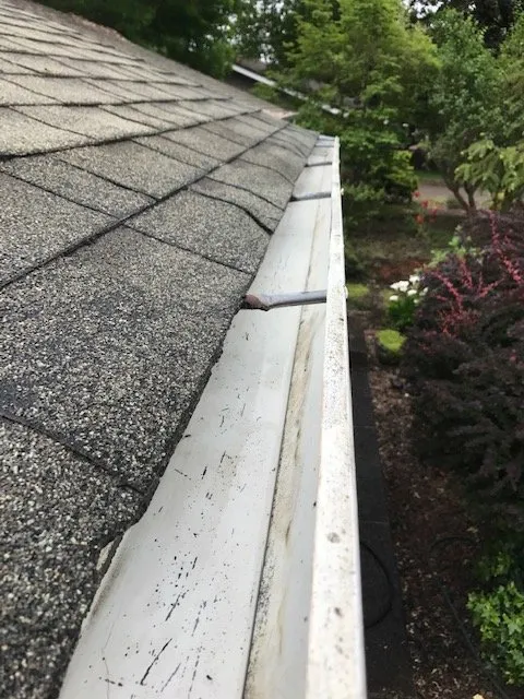 Professional outdoor landscaping for beautiful yards across Eugene, OR - Green Tree Landscaping & Maintenance