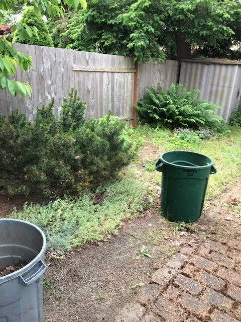 Trusted lawn care service experts serving Eugene, OR - Green Tree Landscaping & Maintenance