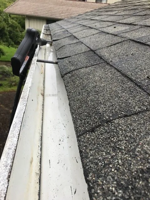 Top-rated residential landscaping experts serving Eugene, OR - Green Tree Landscaping & Maintenance