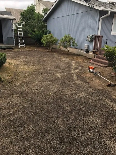 Reliable lawn mowing service experts serving Eugene, OR - Green Tree Landscaping & Maintenance