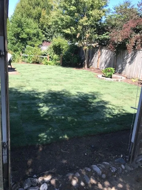 Affordable landscaping services experts serving Eugene, OR - Green Tree Landscaping & Maintenance