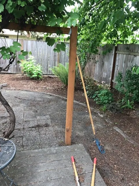 Expert outdoor landscaping for homes in Eugene, OR by Green Tree Landscaping & Maintenance