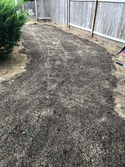 Local lawn care service for beautiful yards in Eugene, OR by Green Tree Landscaping & Maintenance