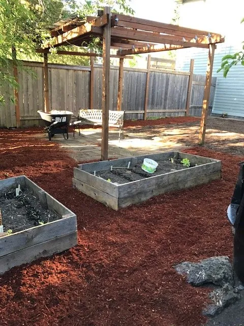 Professional lawn care service for homes in Eugene, OR by Green Tree Landscaping & Maintenance