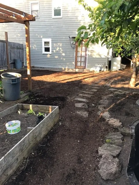 Reliable yard cleanup service near you in Eugene, OR by Green Tree Landscaping & Maintenance