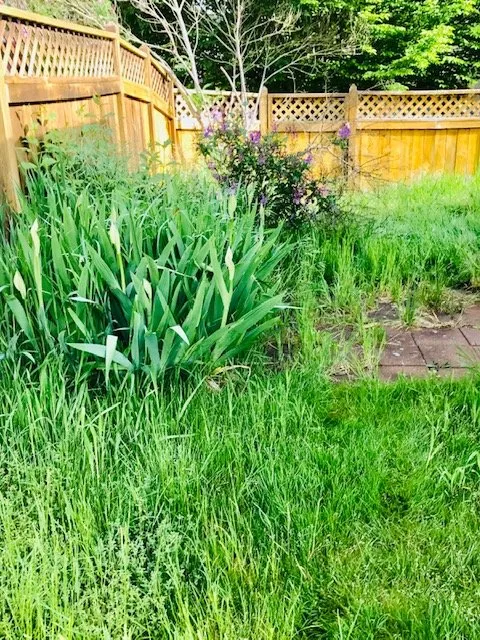 Top-rated residential landscaping experts serving Eugene, OR - Green Tree Landscaping & Maintenance