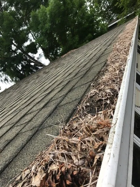 Professional landscape installation near you across Eugene, OR - Green Tree Landscaping & Maintenance