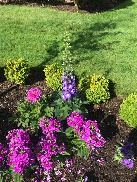 Professional lawn mowing service for beautiful yards across Eugene, OR - Green Tree Landscaping & Maintenance