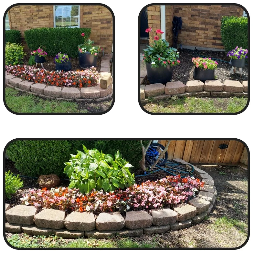 Professional residential landscaping in Plano, TX - Green Tree Landscaping