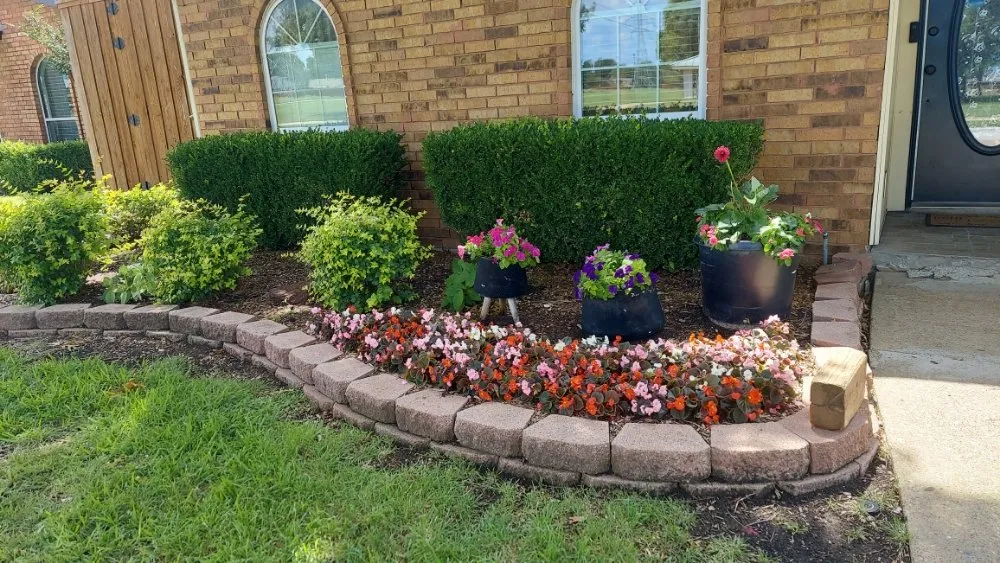 Trusted lawn mowing service in Plano, TX by Green Tree Landscaping