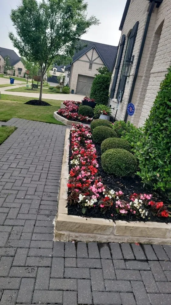 Top-rated lawn mowing service in Plano, TX - Green Tree Landscaping