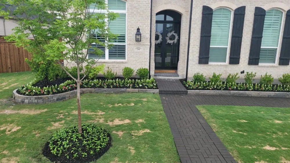 Custom landscape installation experts serving Plano, TX - Green Tree Landscaping