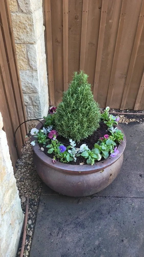 Affordable landscape design for outdoor upgrades in Plano, TX by Green Tree Landscaping