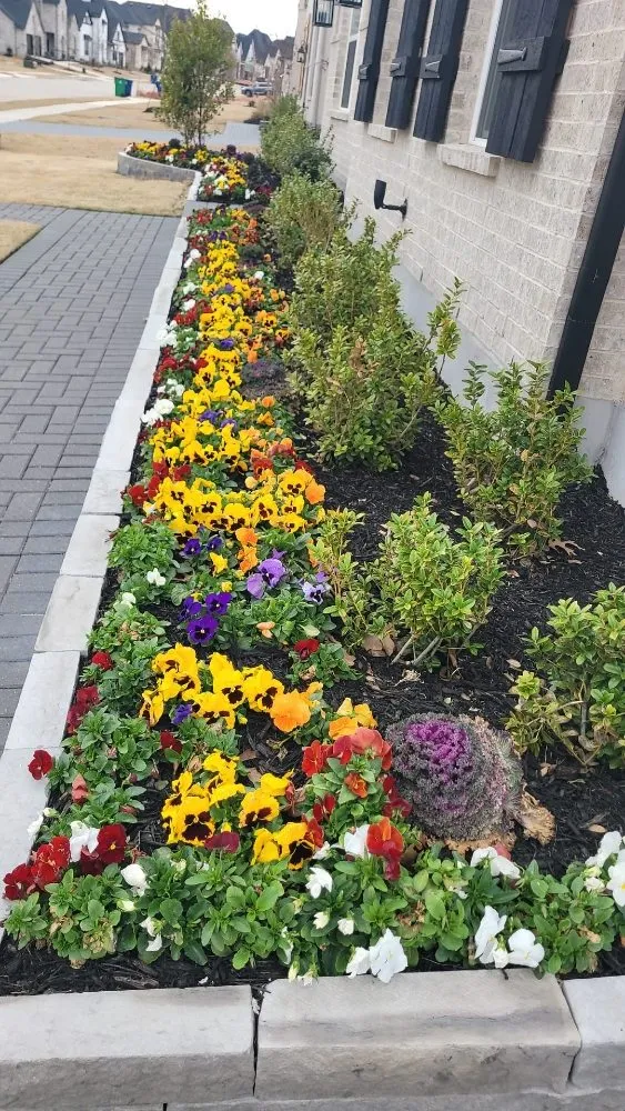 Custom garden landscaping experts serving Plano, TX - Green Tree Landscaping