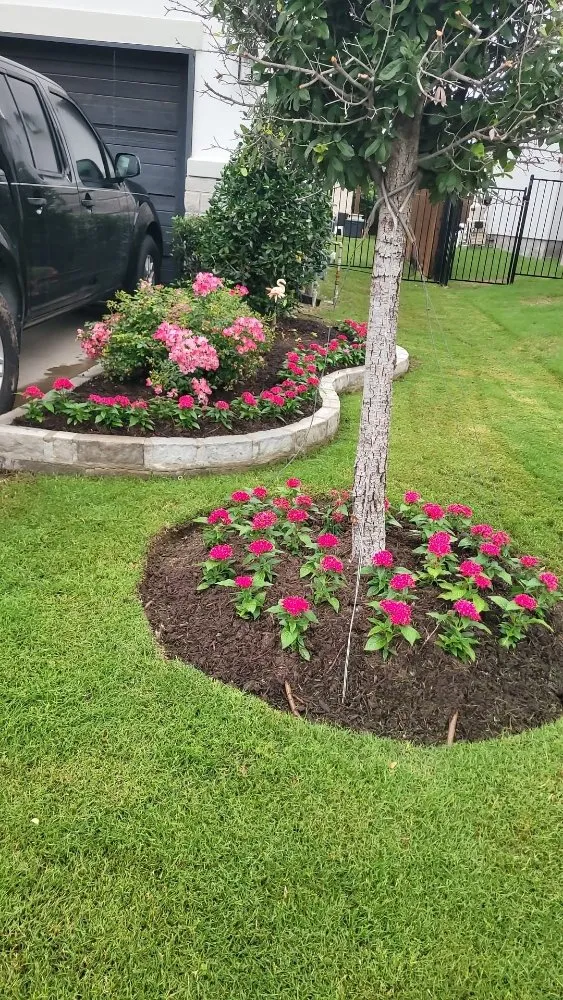 Expert landscape design for residential properties across Plano, TX - Green Tree Landscaping