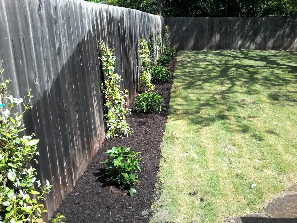 Affordable lawn care service experts serving Dallas, TX - Green Tree Lawn Care Services