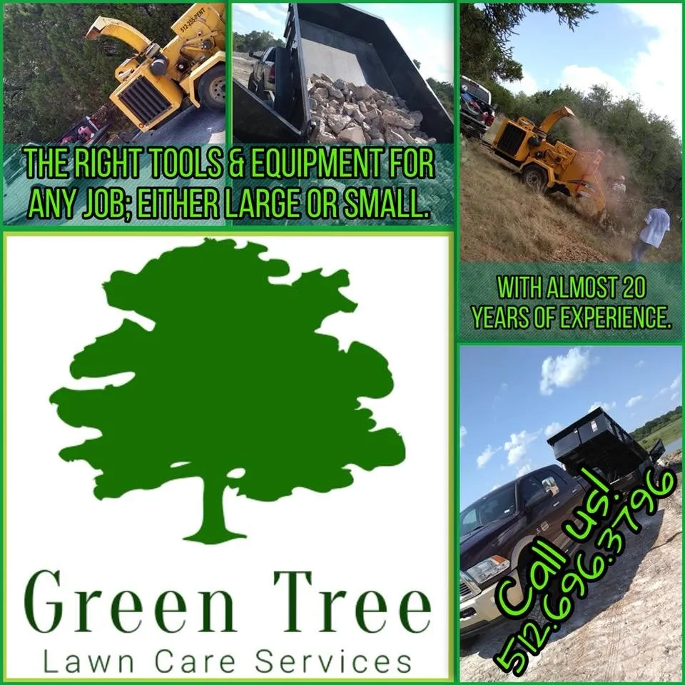 Professional lawn care service for outdoor upgrades in Dallas, TX by Green Tree Lawn Care Services