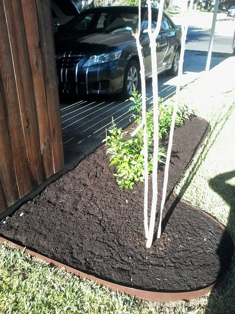 Expert landscape design for beautiful yards in Dallas, TX by Green Tree Lawn Care Services