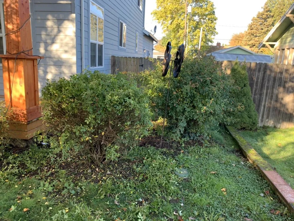 Top-rated garden landscaping near you across Vancouver, WA - Green Tree Lawn Service