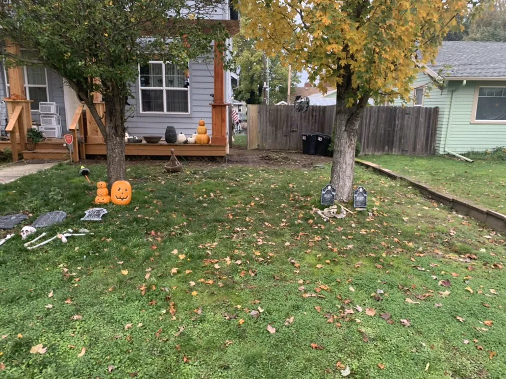 Professional landscaping services in Vancouver, WA - Green Tree Lawn Service