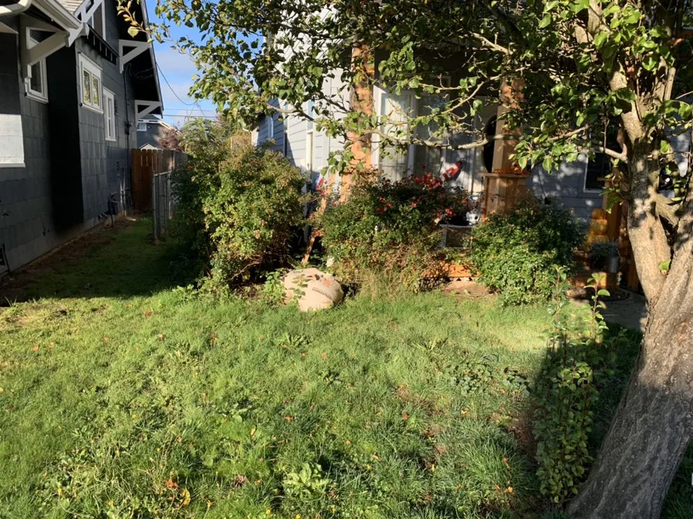Affordable garden landscaping for year-round maintenance across Vancouver, WA - Green Tree Lawn Service