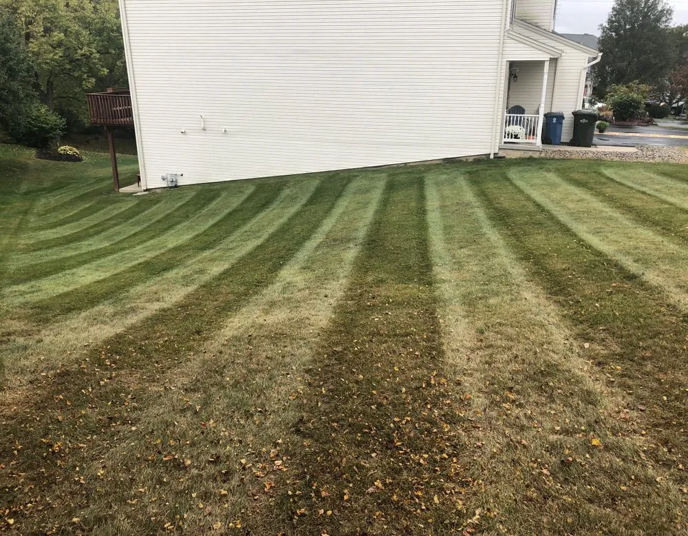 Affordable landscaping services in Harrisburg, PA by Green Tree Property Care & Maintenance