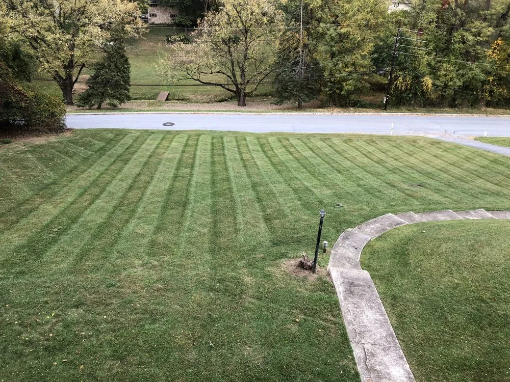 Local landscaping services near you in Harrisburg, PA by Green Tree Property Care & Maintenance