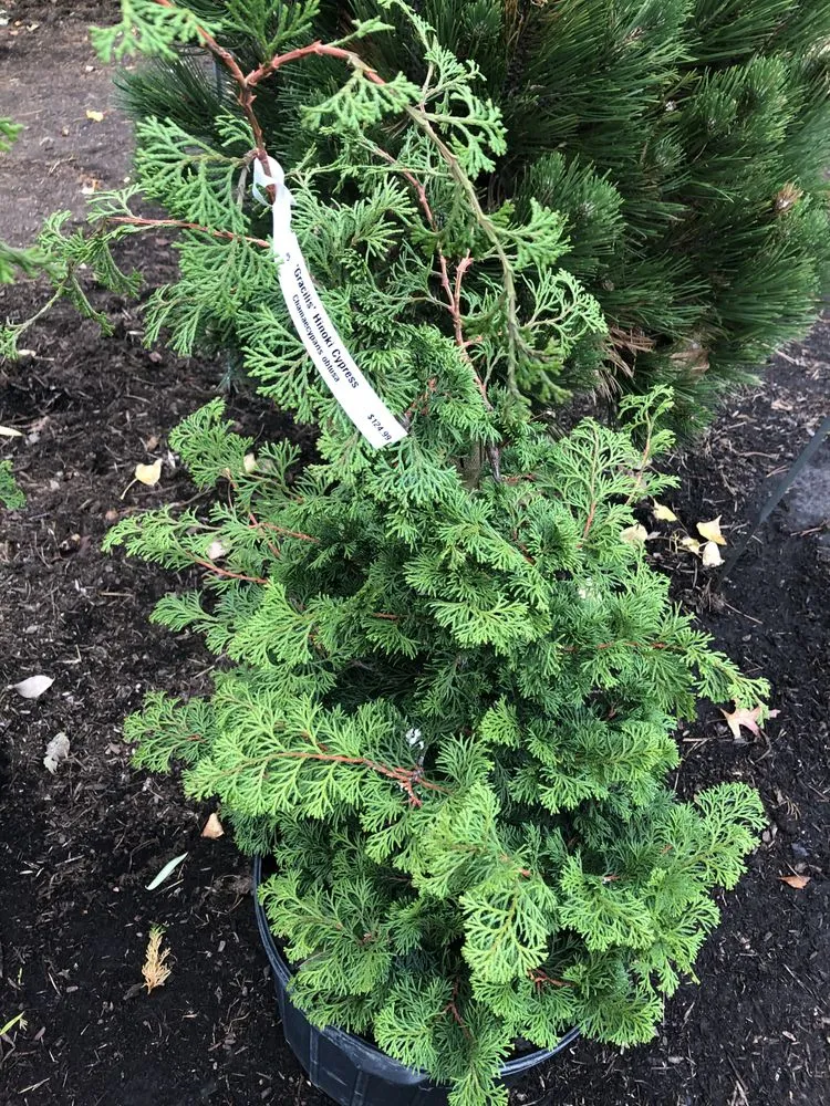 Reliable landscape installation with custom design in Harrisburg, PA by Green Tree Property Care & Maintenance