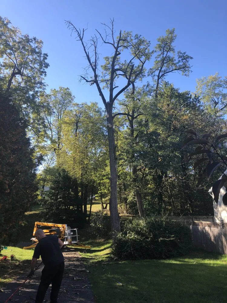 Local landscaping services for outdoor upgrades across Harrisburg, PA - Green Tree Property Care & Maintenance