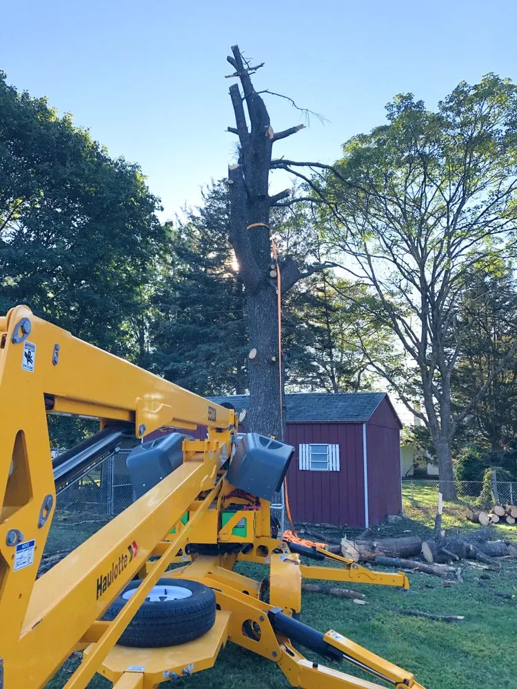 Local outdoor landscaping experts serving Harrisburg, PA - Green Tree Property Care & Maintenance