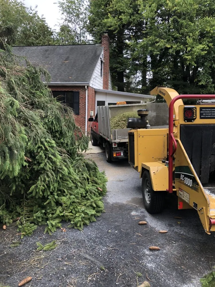 Professional lawn mowing service in Harrisburg, PA - Green Tree Property Care & Maintenance