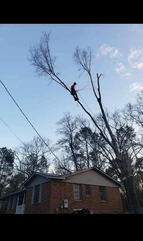 Affordable garden landscaping experts serving Nashville, TN - Green Tree Service