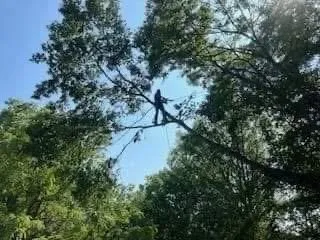 Trusted landscape installation experts serving Nashville, TN - Green Tree Service