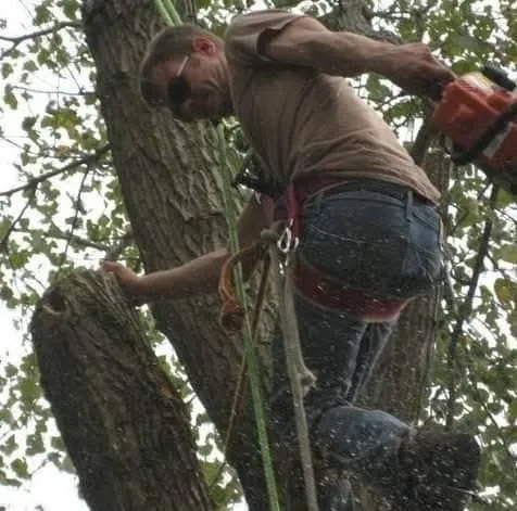 Top-rated landscape installation for outdoor upgrades in Nashville, TN by Green Tree Service