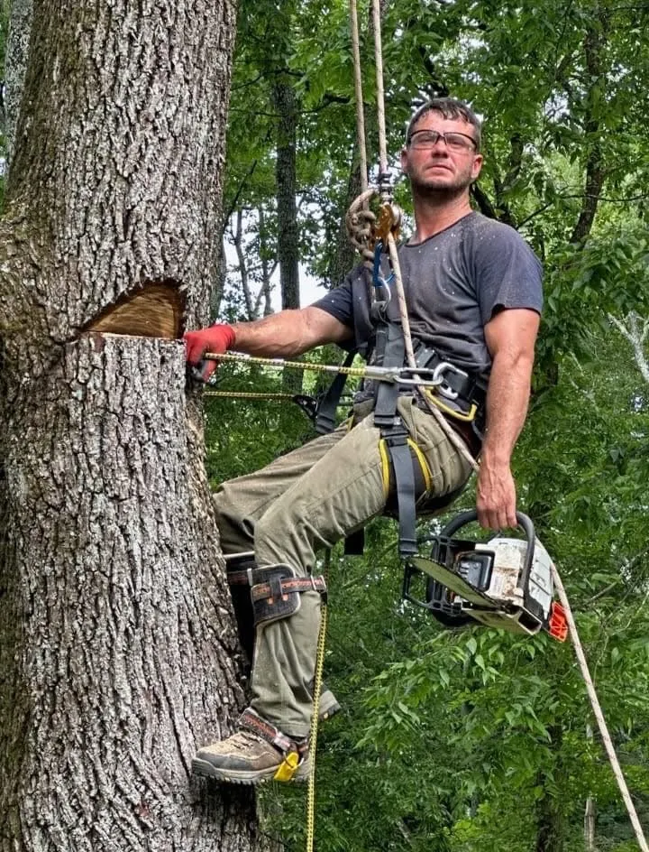 Reliable lawn mowing service in Nashville, TN - Green Tree Service