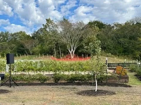 Custom landscaping services experts serving Nashville, TN - Green Tree Service