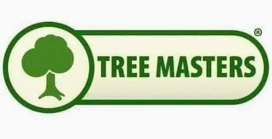 Custom yard maintenance in Nashville, TN - Green Tree Service