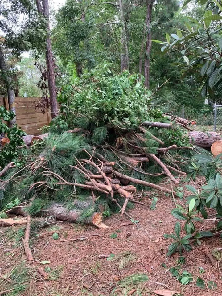 Trusted lawn mowing service for homes in Brunswick, GA by Green Tree Services